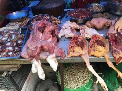 农村养殖家禽怎么找销路？这4个销售途径很管用