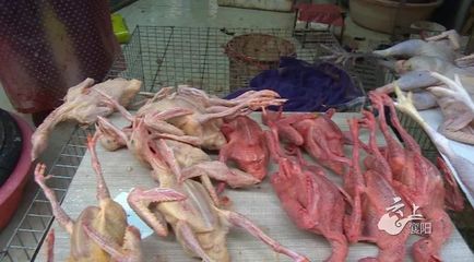 襄阳市中心城区告别活禽交易时代，家禽销售迈入“白条”新纪元