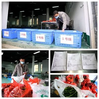 信息化助农 指尖轻点，家禽与农产品“鲜”达餐桌